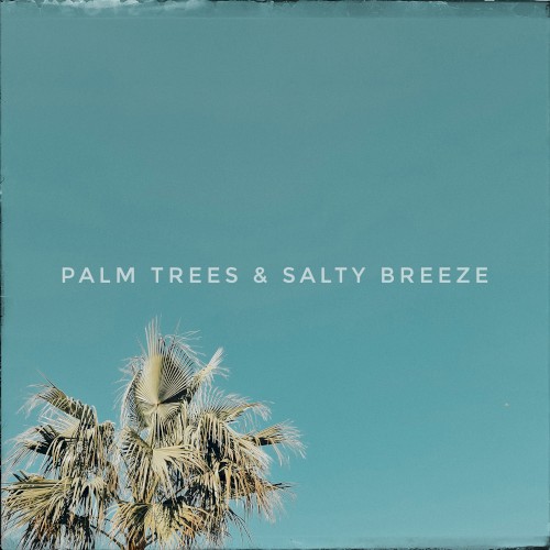 Palm Trees & Salty Breeze