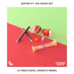 U I Need (Kamil Ghaouti remix)