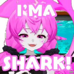 I'M A SHARK