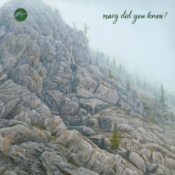 Mary Did You Know?