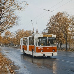 Autumn Days