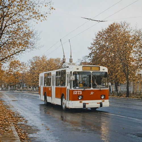 Autumn Days