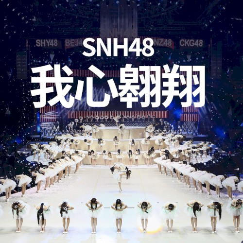 我心翱翔