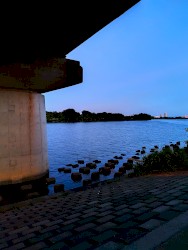 夕入