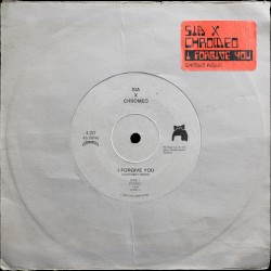 I Forgive You (Chromeo remix) (radio edit)