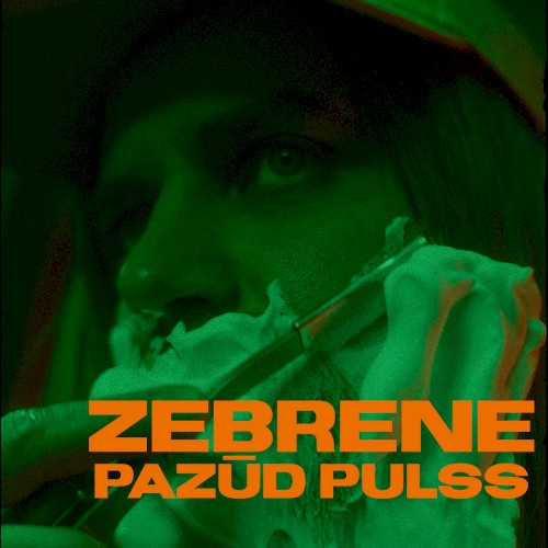 Pazūd Pulss