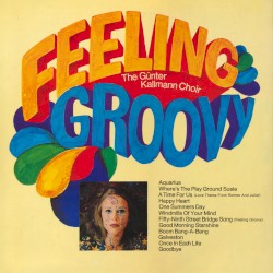 Feeling Groovy
