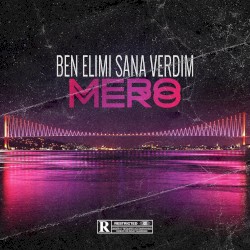 Ben elimi sana verdim