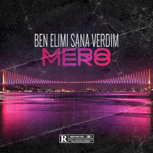 Ben elimi sana verdim