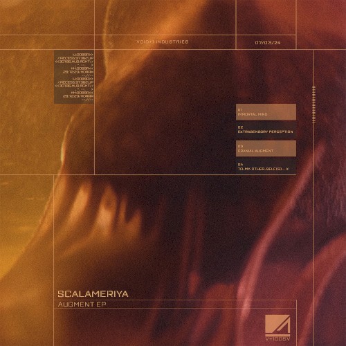 Augment EP