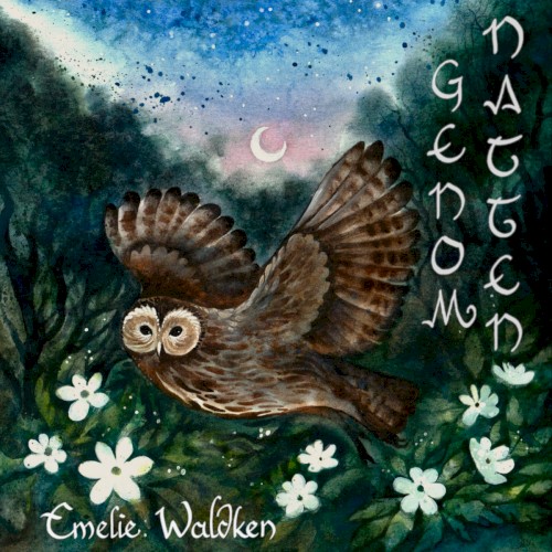 Genom Natten