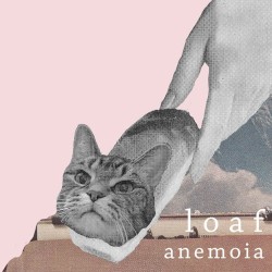 Anemoia