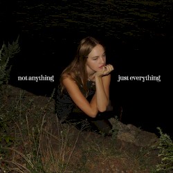 Not Anything, Just Everything