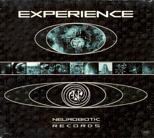 Experience