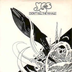 Don’t Kill the Whale