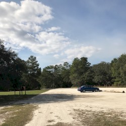Out of the Woods Just Yet