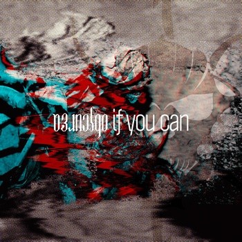 If You Can
