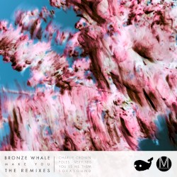 Make You (the remixes)