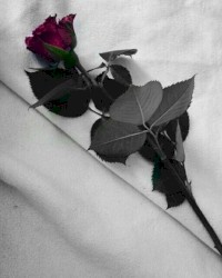Where Do You Turn When Everything Falls Apart