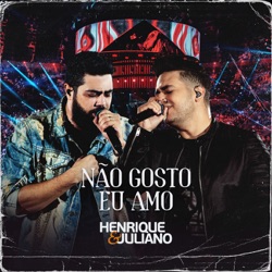 Não gosto eu amo