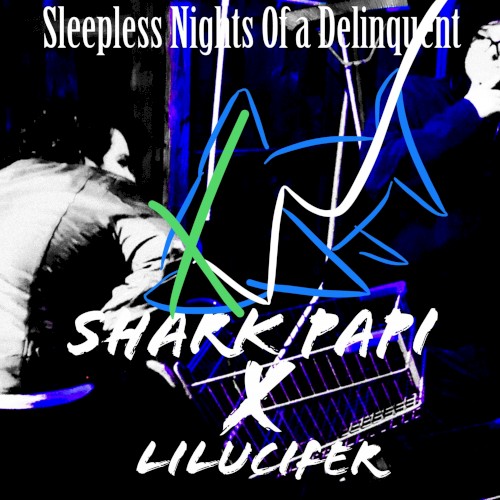 Sleepless Nights of a Delinquent