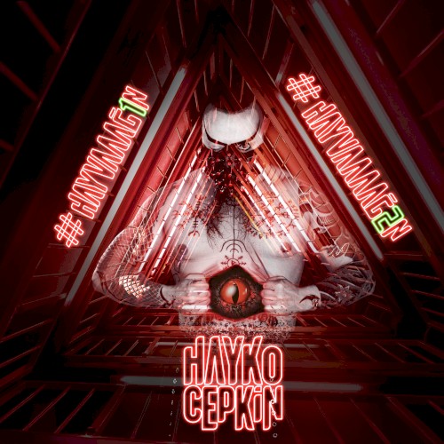 Hayvaaağ1n