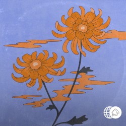 dahlia