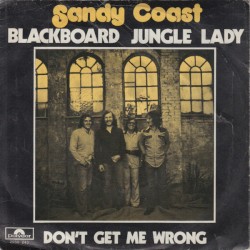 Blackboard Jungle Lady / Don't Get Me Wrong