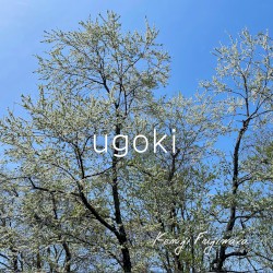 ugoki
