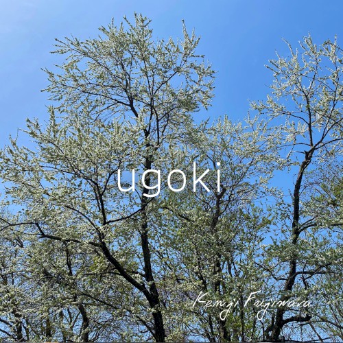 ugoki