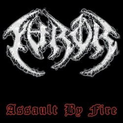 Assault by Fire