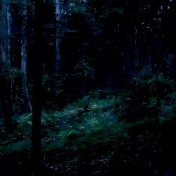 twilight