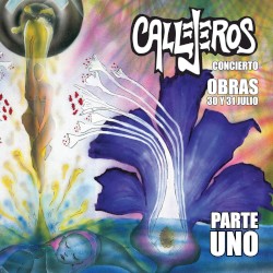 Concierto Obras 30 y 31 julio, parte uno