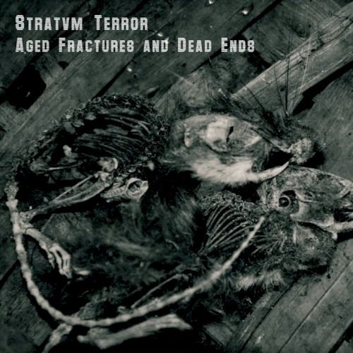 Aged Fractures and Dead Ends