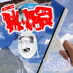 Insect