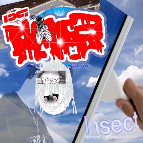 Insect