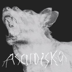Moshpit Poetry