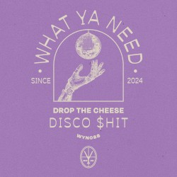 Disco $hit