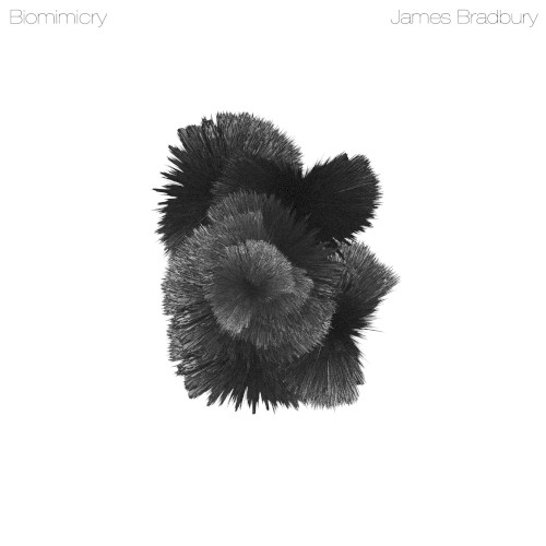 Biomimicry