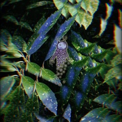 dispersion