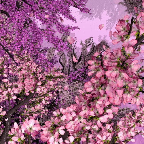 Blossoming