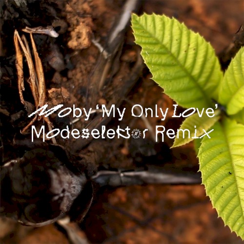 My Only Love (Modeselektor remix)