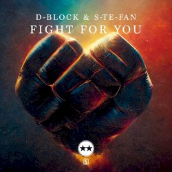 Fight for You