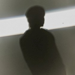 자유비행
