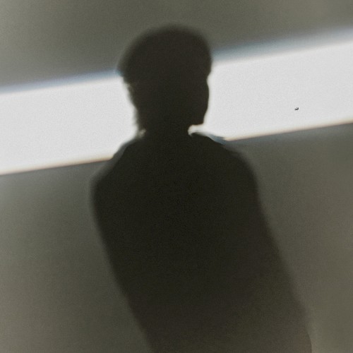 자유비행