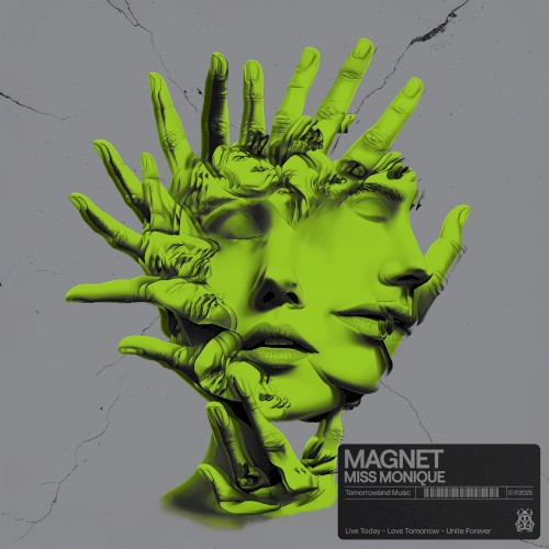 Magnet