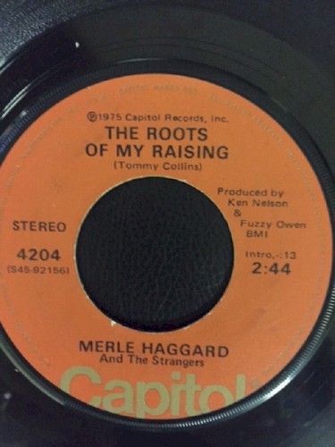 The Roots of My Raising