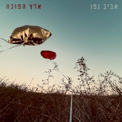 ארץ הפוכה