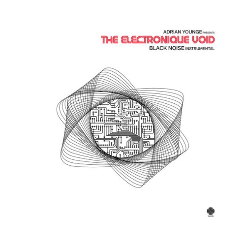 The Electronique Void: Black Noise Instrumentals