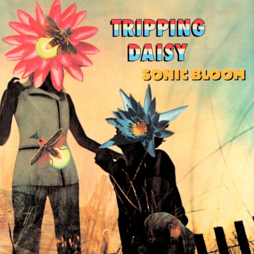 Sonic Bloom